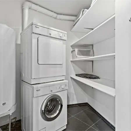 Apartment Luxury Penthouse In The Center Of T101